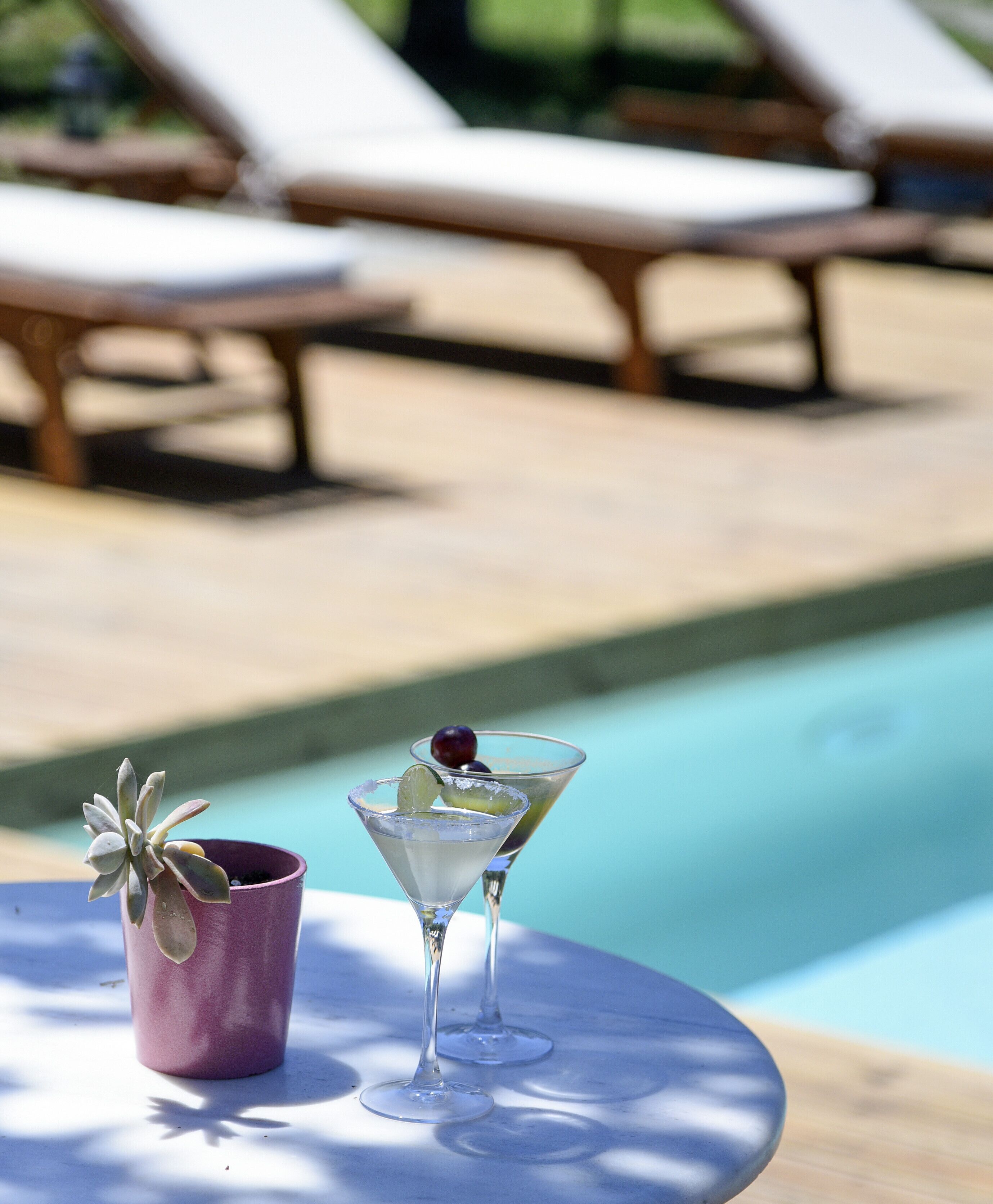 A poolside table with two martini glasses and a succulent plant.