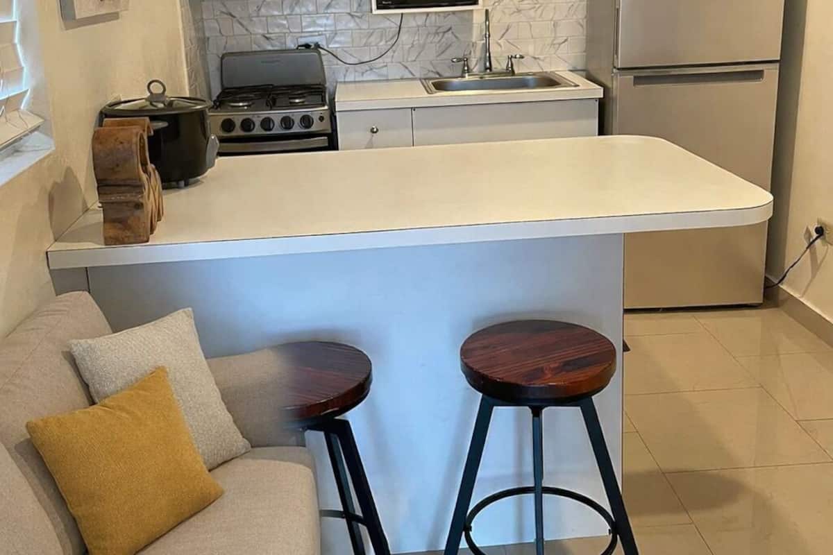 Businesshuoneisto, 1 makuuhuone | Yksityinen keittiö | Minijääkaappi, mikroaaltouuni, kahvin-/teenkeitin