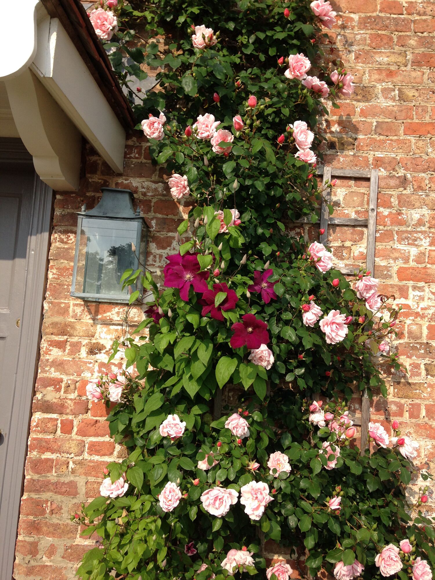 A brick wall with a climbing rose bush and a small window.