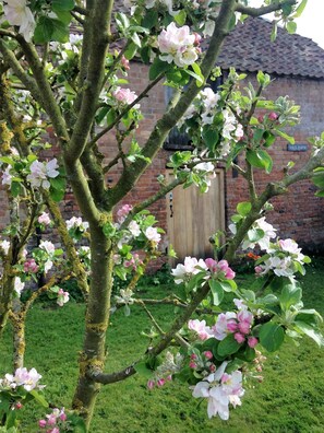 Property grounds - Saul Farm (Gloucester)