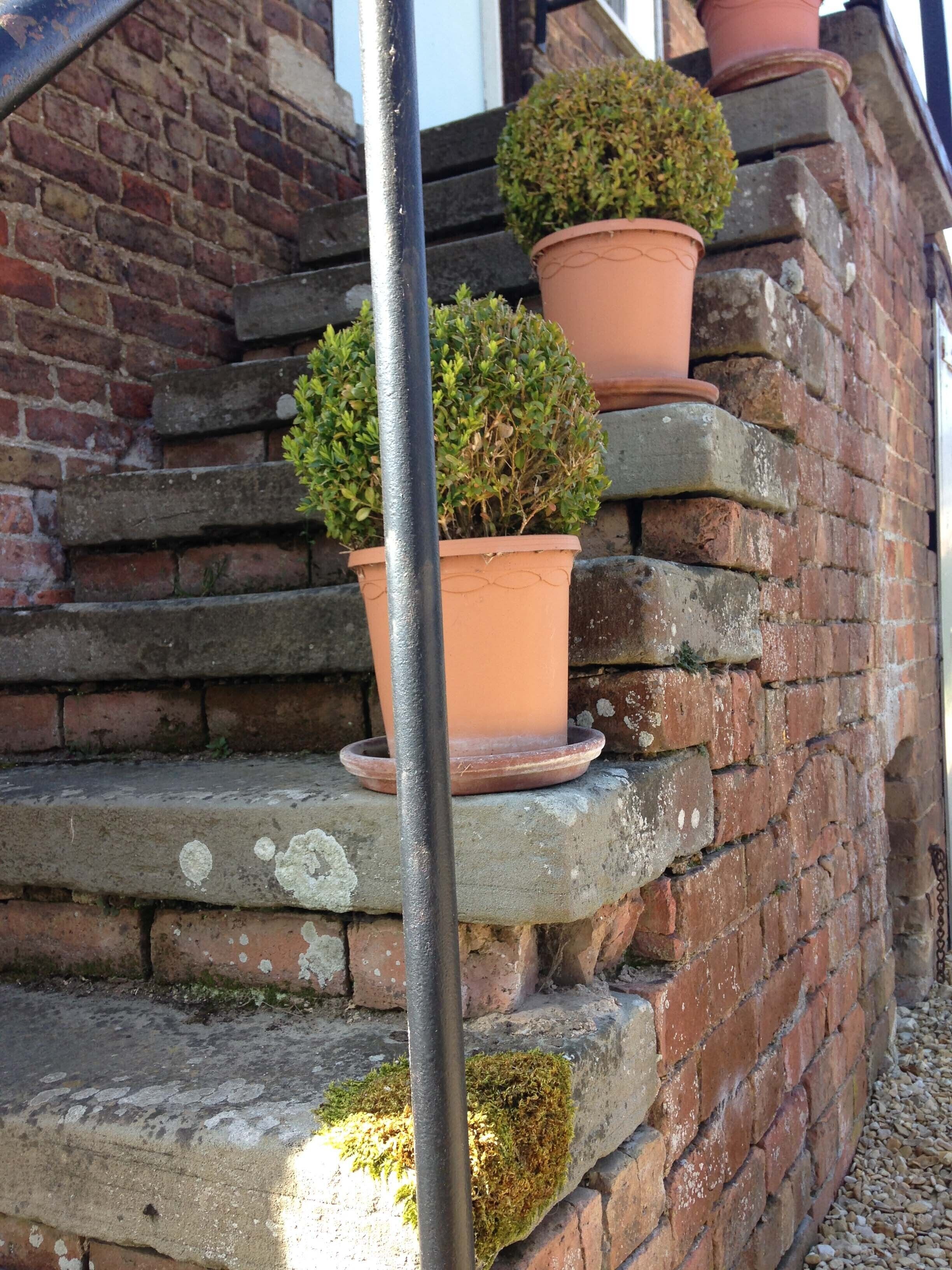 A set of stone steps with terracotta pots containing small shrubs.