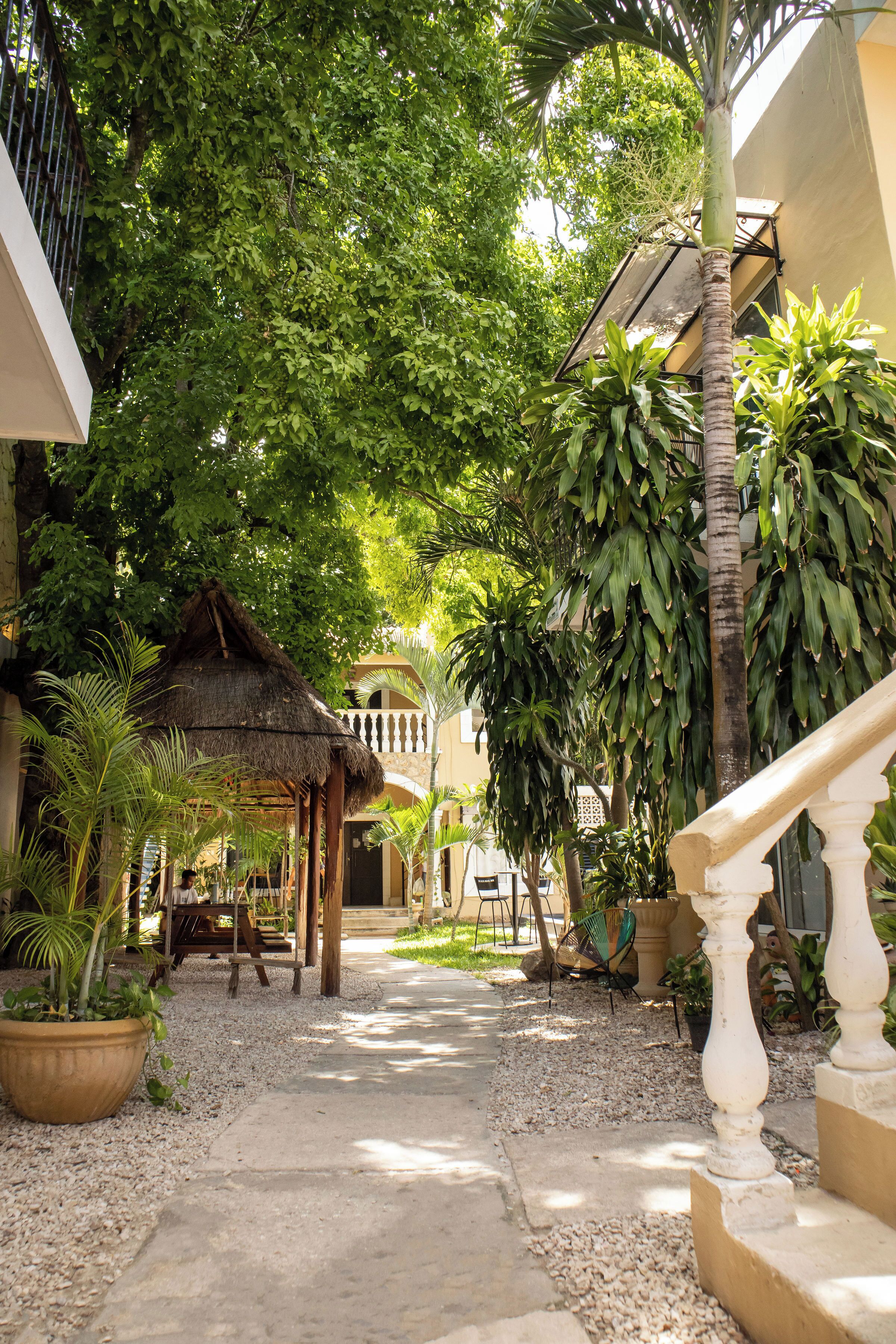 A courtyard with a thatched-roof gazebo, palm trees, and a staircase with a balustrade.