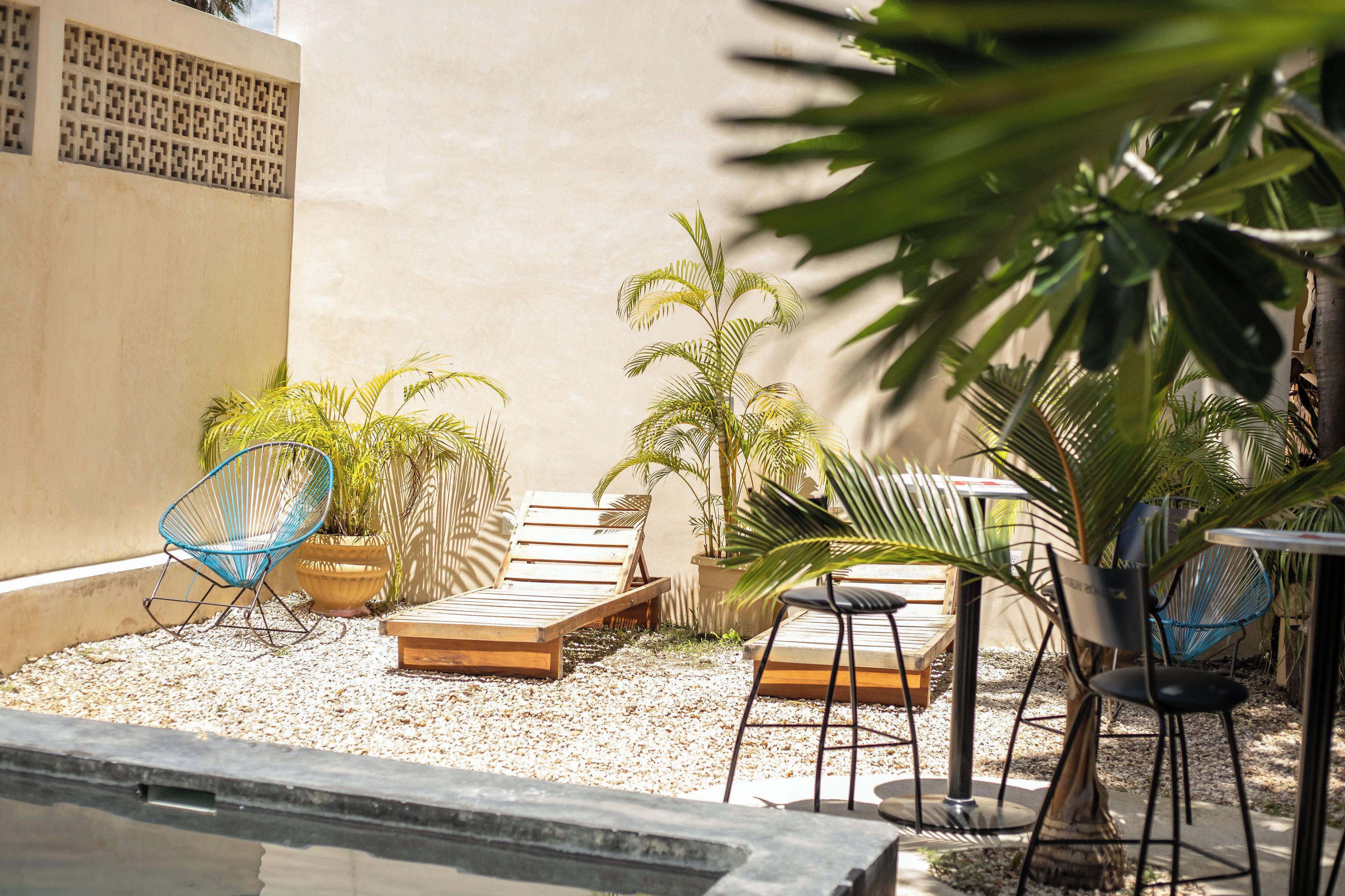 A patio area with lounge chairs, a small pool, and potted plants.