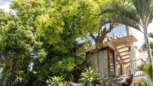 A pool area with a thatched-roof structure, surrounded by lush greenery and a multi-story building with balconies. - Hotel Tunich Naj (Valladolid)