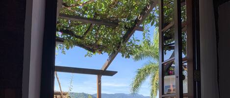 Deluxe Double Room | Terrace/patio