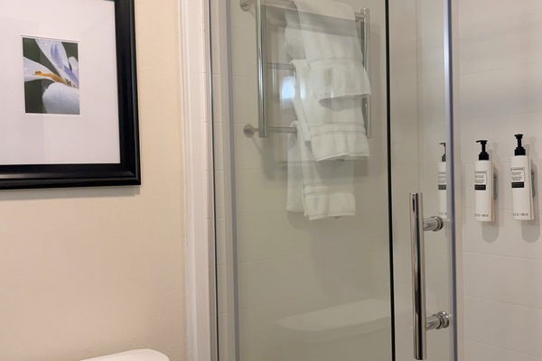 Shower, free toiletries, hair dryer, towels