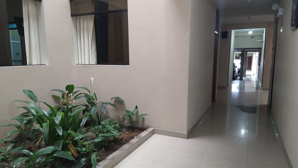 Un couloir avec un sol carrelé, un espace dédié aux plantes en pot et une fenêtre avec des rideaux.