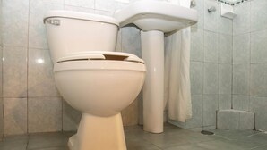 Habitación estándar, 2 camas de matrimonio | Baño | Ducha, artículos de higiene personal gratuitos, toallas y jabón