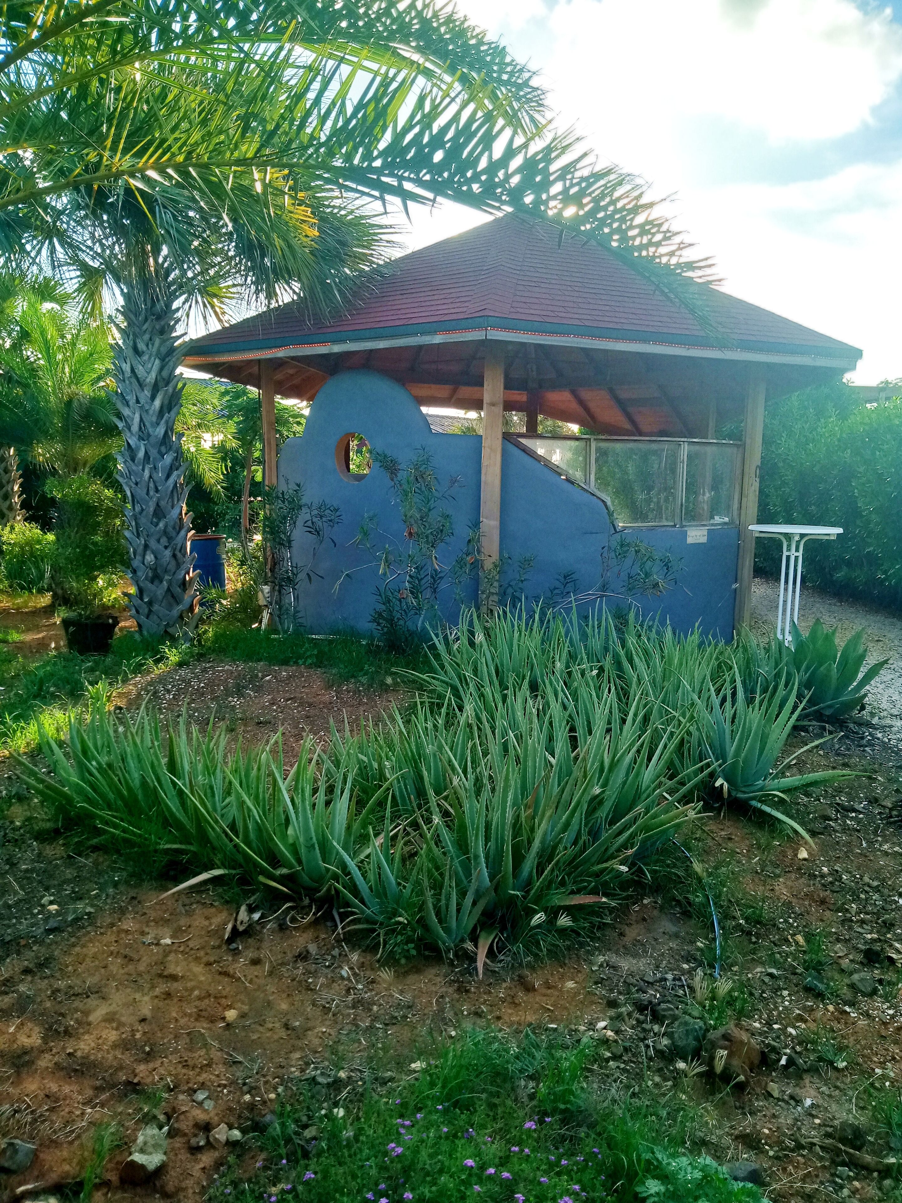 A small gazebo with a sloped roof, surrounded by lush greenery and aloe plants.