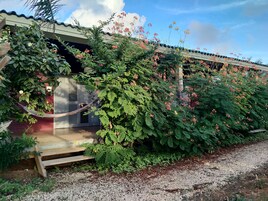 A wooden bench under a covered area with a hammock, surrounded by lush greenery and flowering plants.
