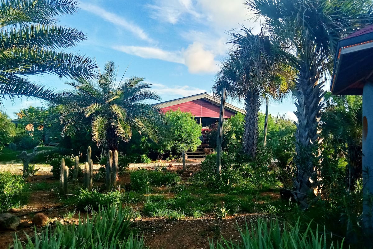 Garden view