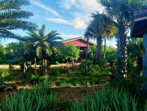 Family Chalet, 2 Bedrooms | Garden view - Red Palm Village (Kralendijk)