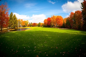 Golfkenttä, jossa on lampi, ja jonka ympärillä on puita, joiden lehvistö on syksyisin upeaa.