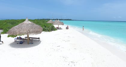 Palm Residence