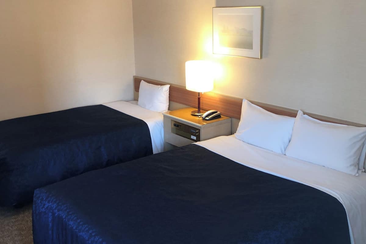 Down duvets, desk, free WiFi, bed sheets