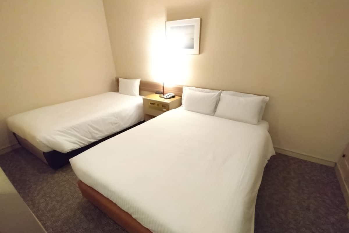 Family Twin Room, Non Smoking (Up to 3 People) | Down comforters, desk, WiFi (free), bed sheets