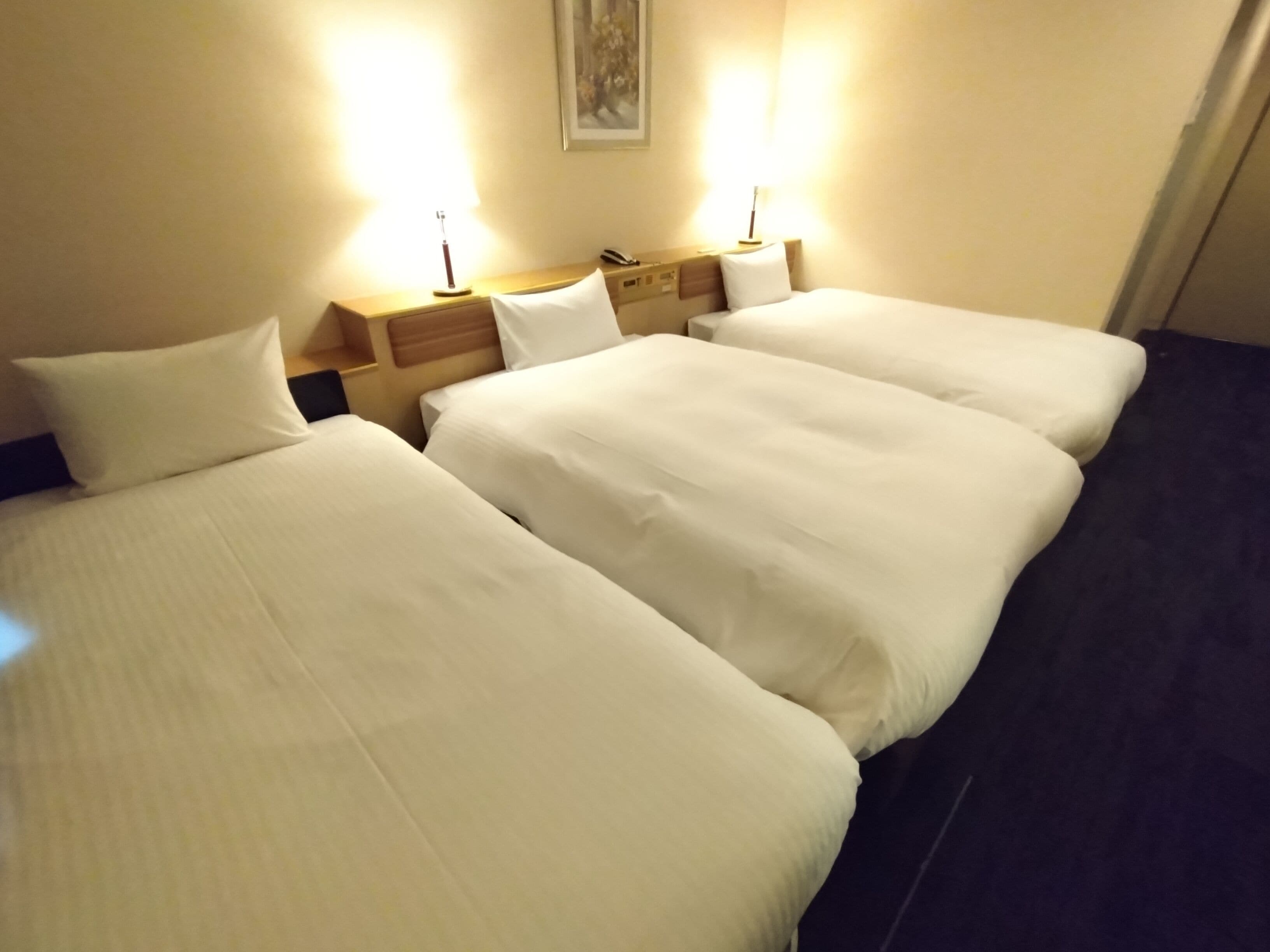 Triple Room, Non Smoking | Down duvets, desk, free WiFi, bed sheets
