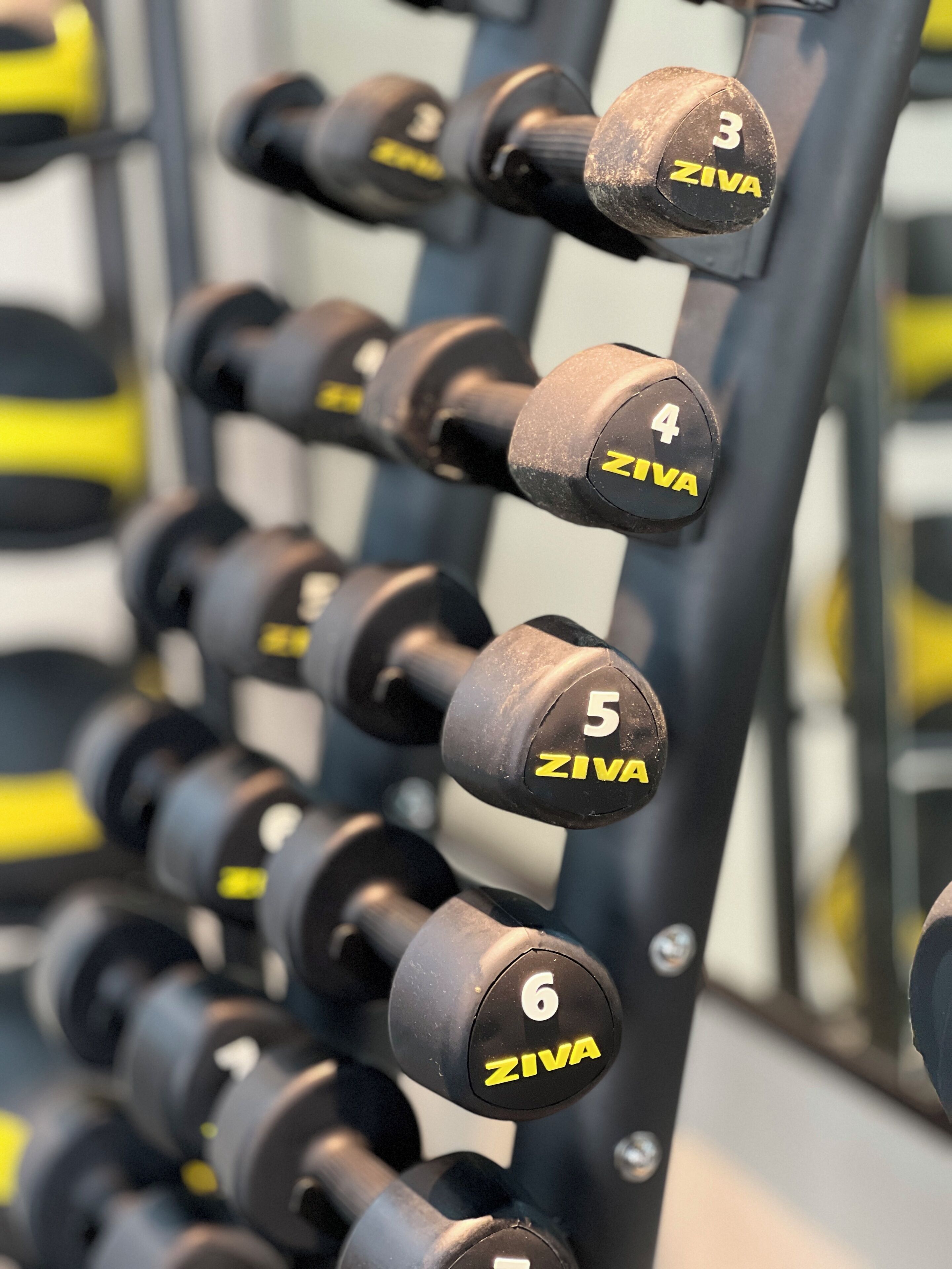 A rack of ZIVA dumbbells with weights marked from 3 to 6.