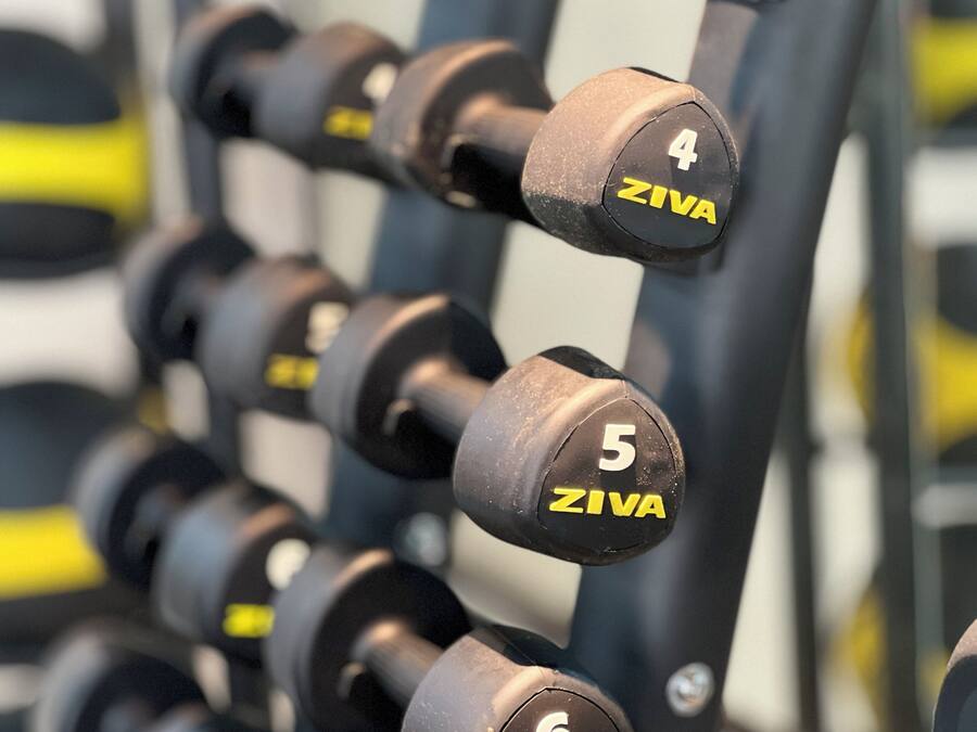 A rack of ZIVA dumbbells with weights marked from 3 to 6.