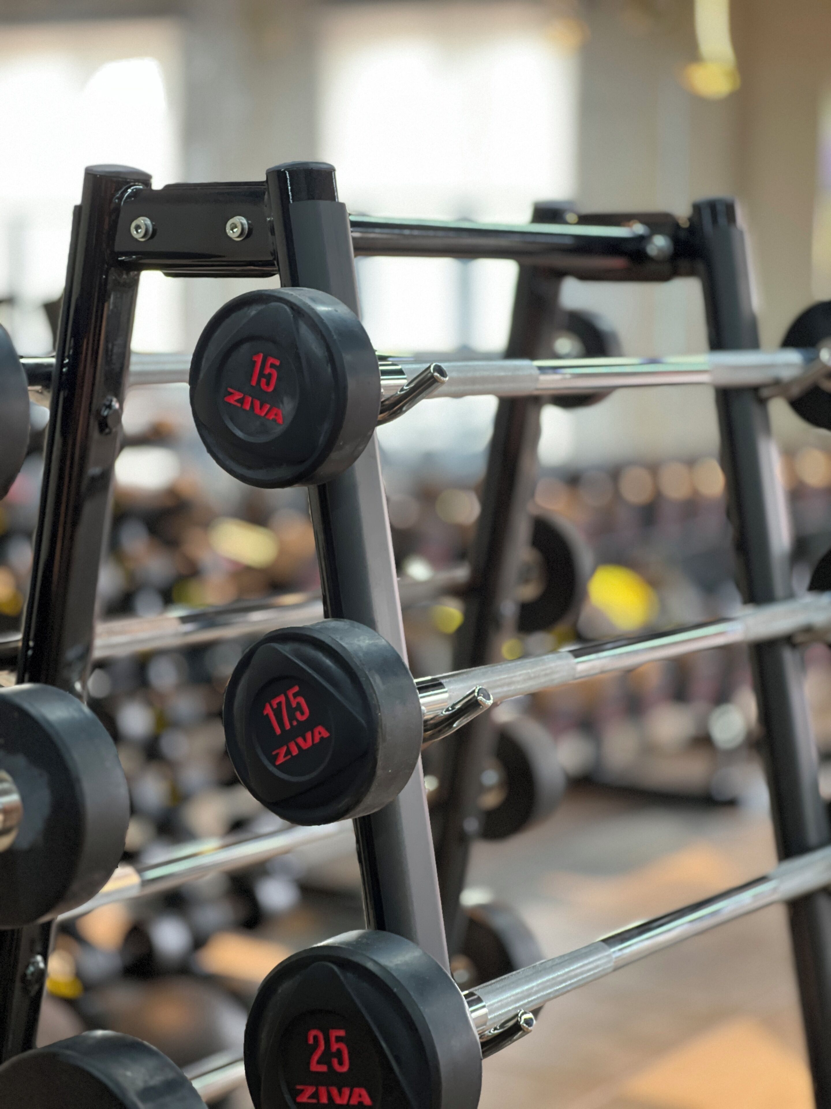 Et træningscenter med styrkeløftudstyr, herunder håndvægte og en squat rack.