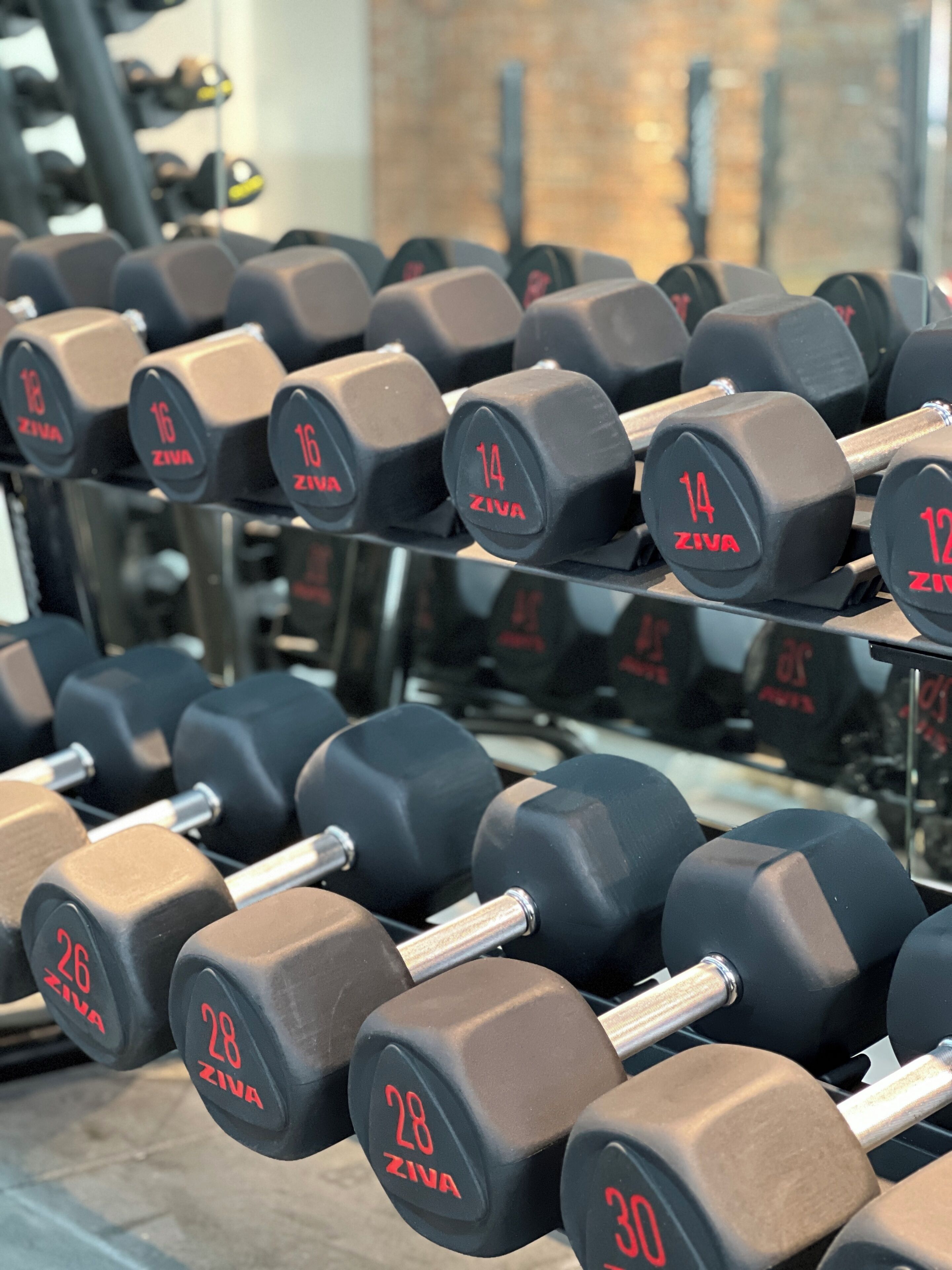A rack of dumbbells with weights ranging from 12 to 30 pounds.
