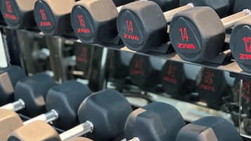 A rack of dumbbells with weights ranging from 12 to 30 pounds.