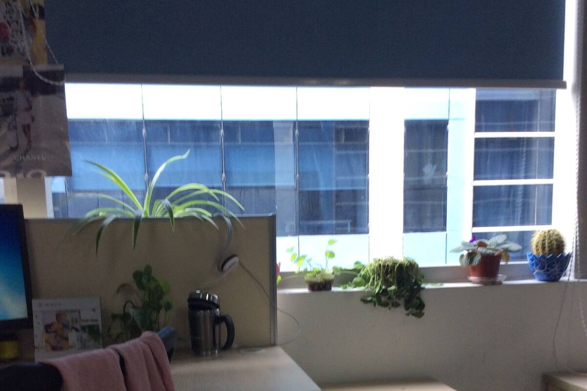 Honeymoon House, 3 Bedrooms, Non Smoking, Ocean View