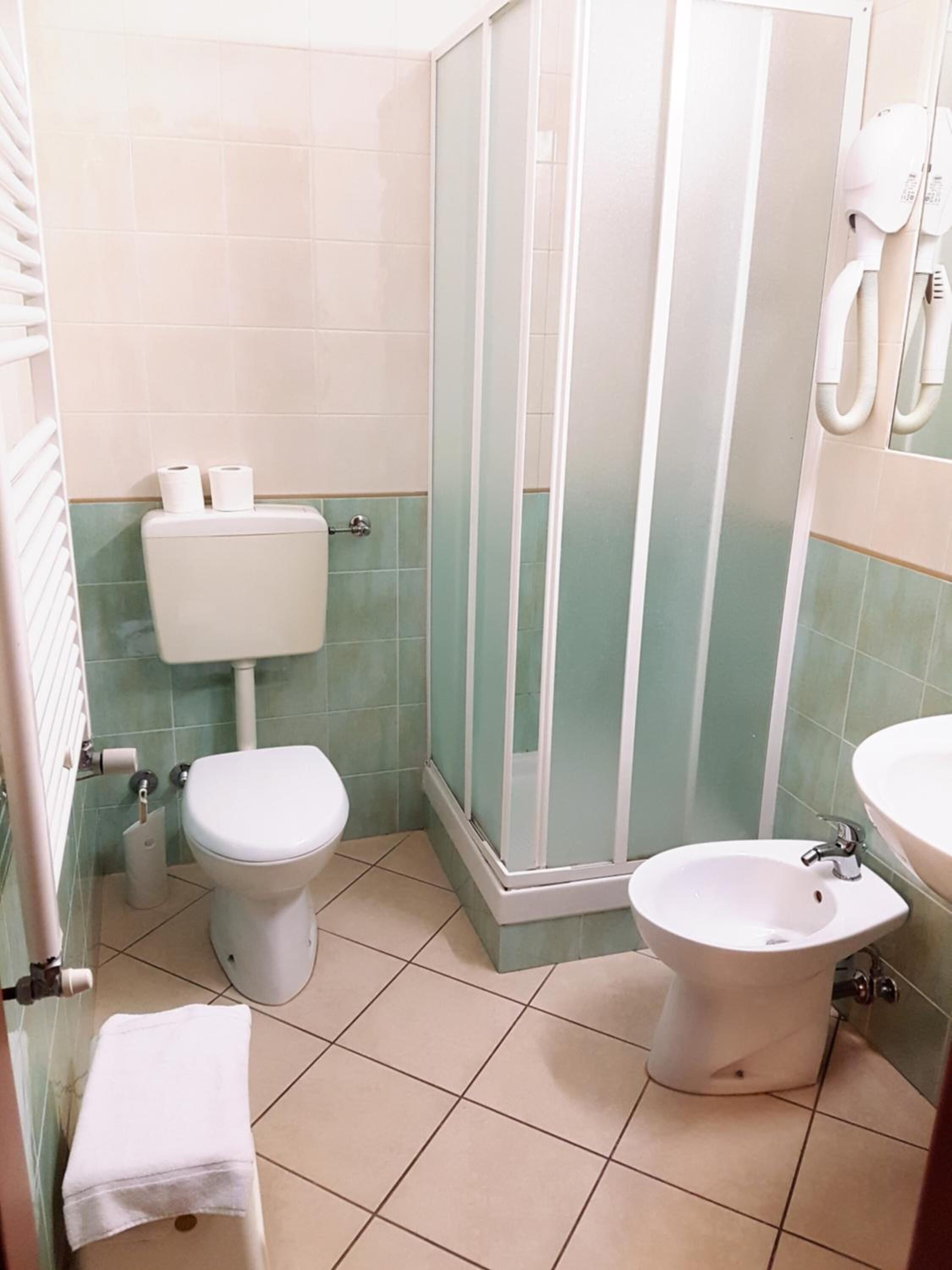 shower, free toiletries, hair dryer, bidet