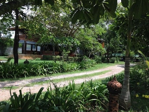 A garden pathway leading to a building with a traditional roof, surrounded by lush greenery and a variety of plants.