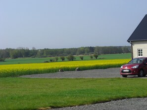 Ubetjent parkering (inkludert)