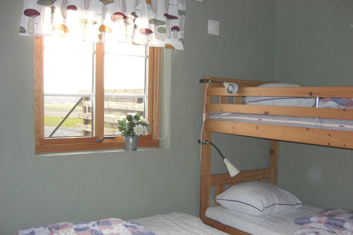 A bunk bed room with a window, a bedside table, and a flower pot.