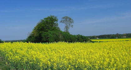 Hagestad 47