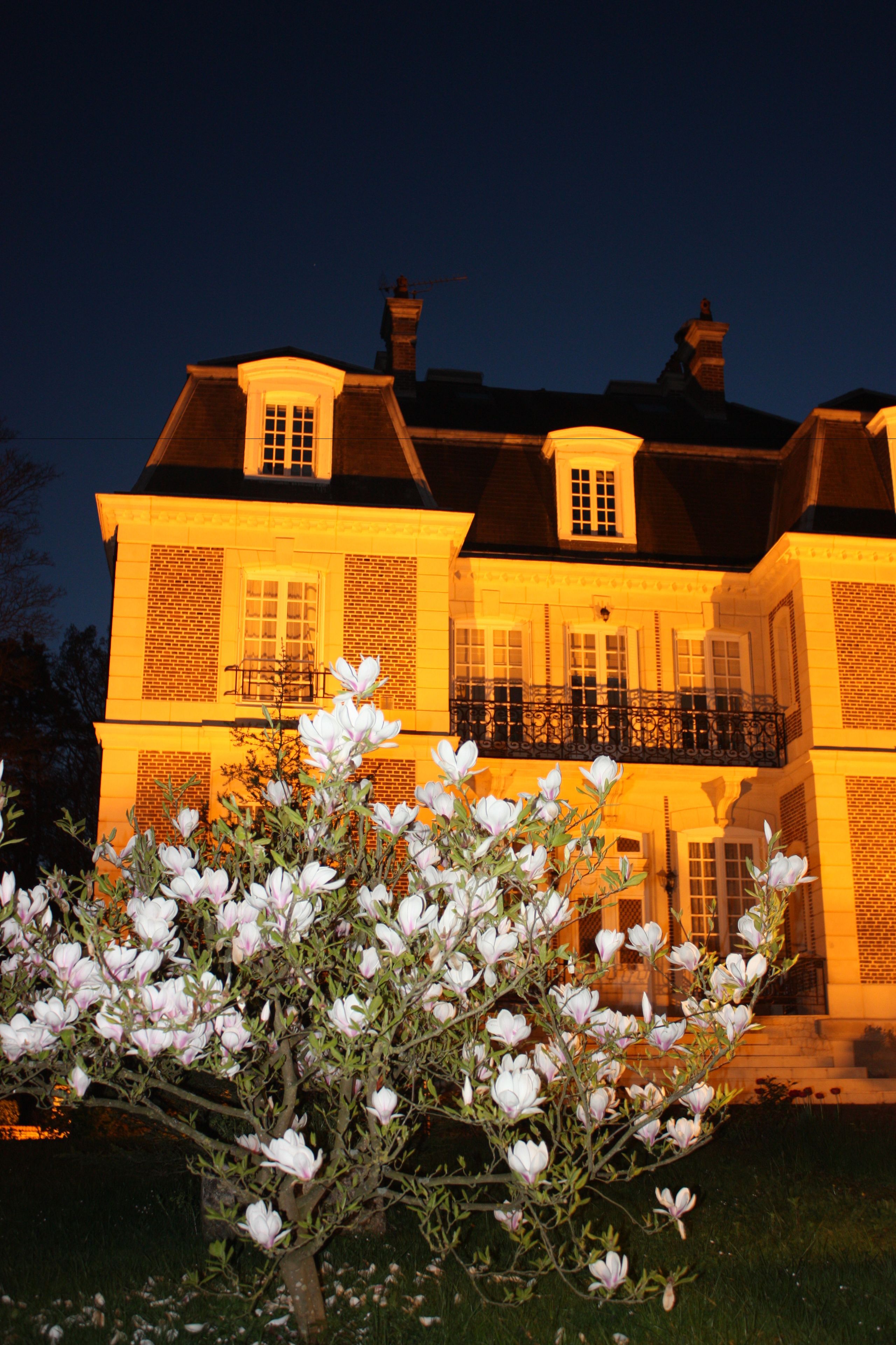 施 設の正面 (日没後)