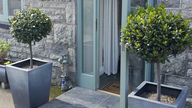 Un bâtiment en pierre avec une porte en verre, deux arbres en pot et un paillasson en métal.