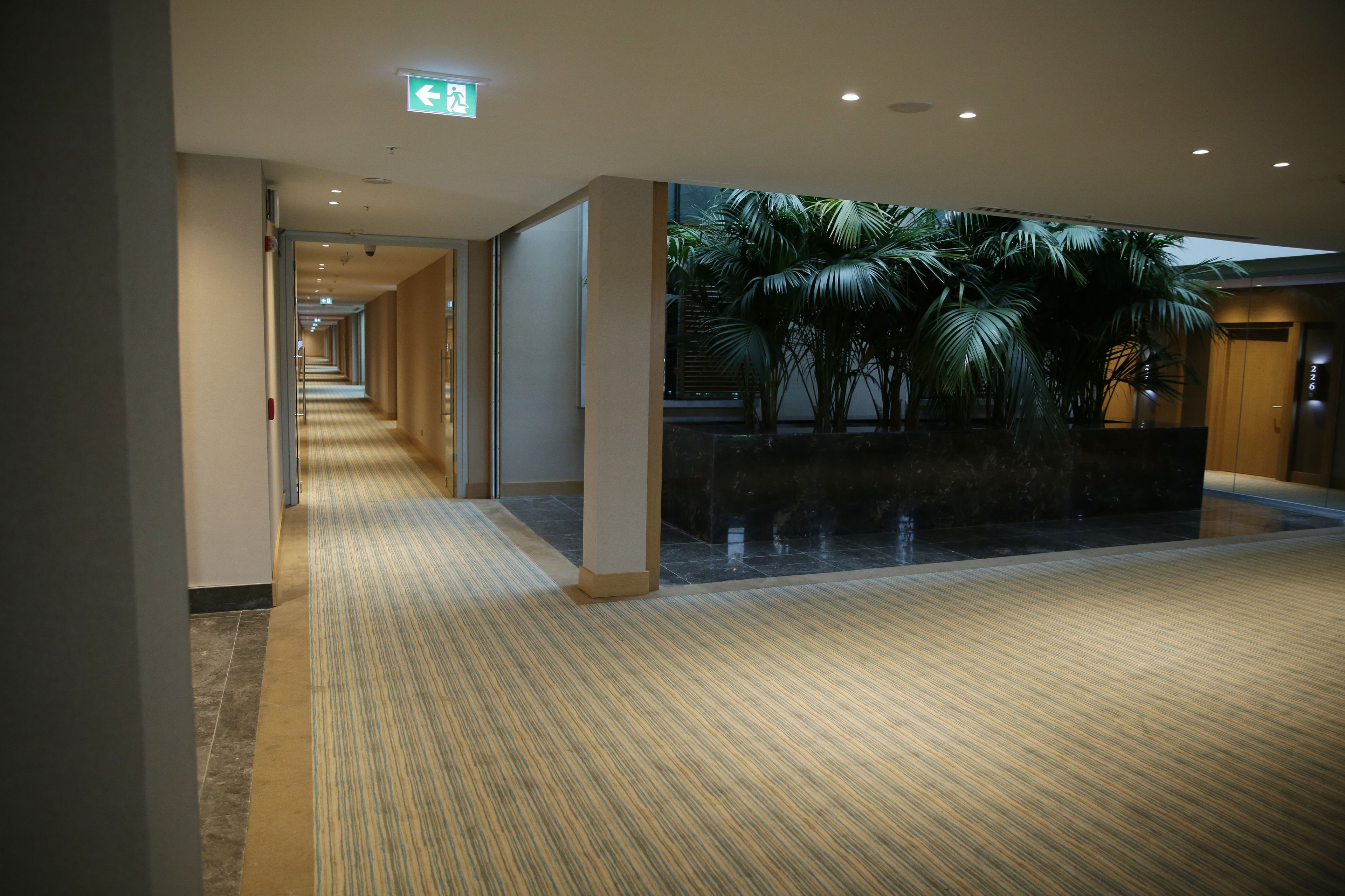A hotel corridor with a patterned carpet, a glass wall with a view of palm trees, and a sign indicating an exit.