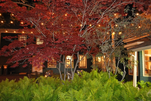 Premier Suite, 1 Queen Bed, Non Smoking, Kitchenette | Garden view