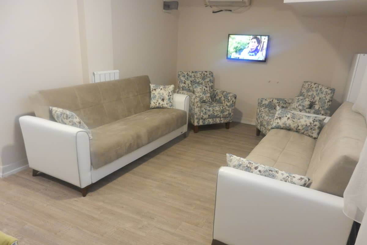 Apartment, 1 Bedroom, Kitchenette | Living room | Flat-screen TV