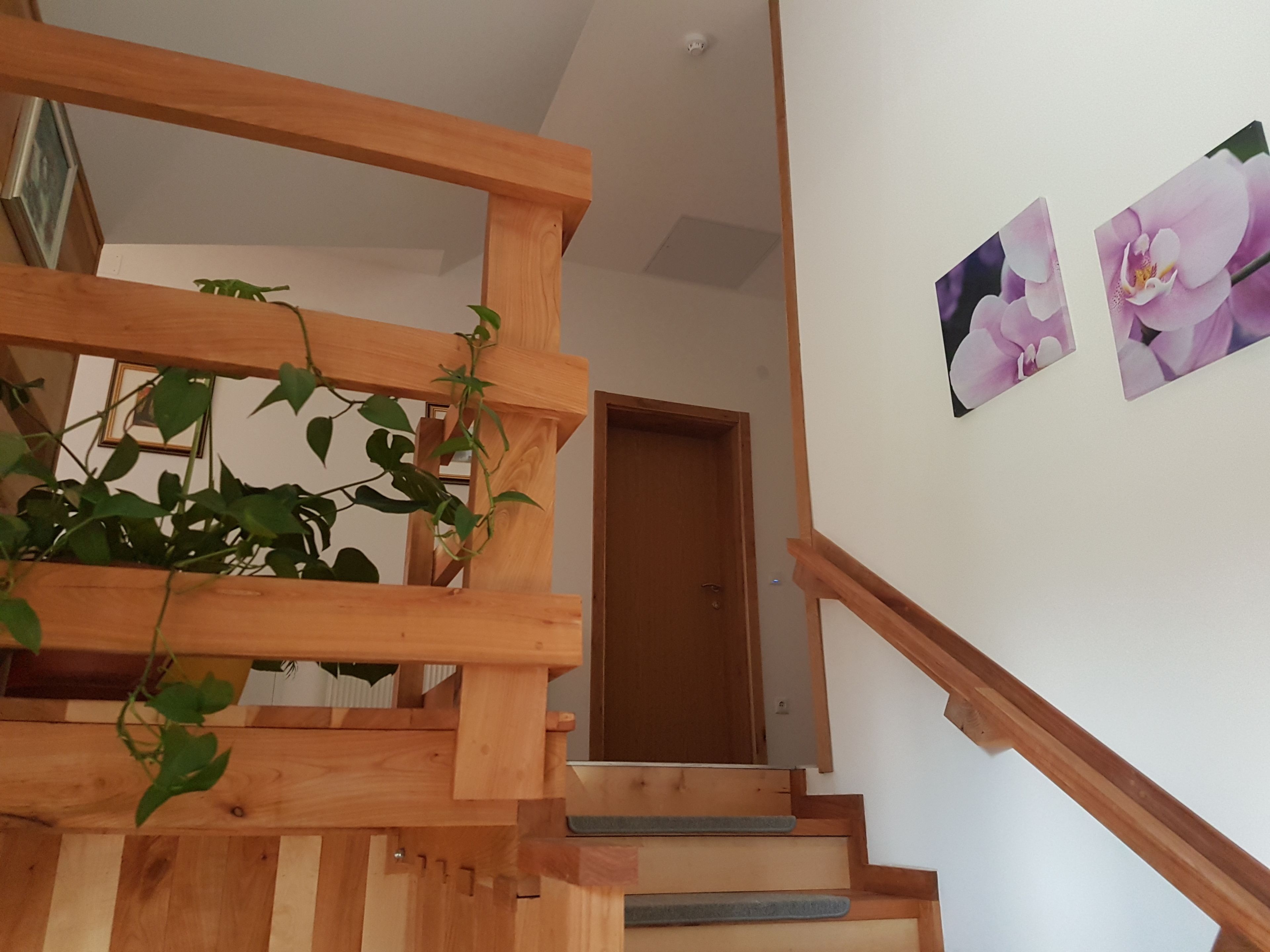 A wooden staircase with a handrail, a door at the bottom, and two framed pictures on the wall.