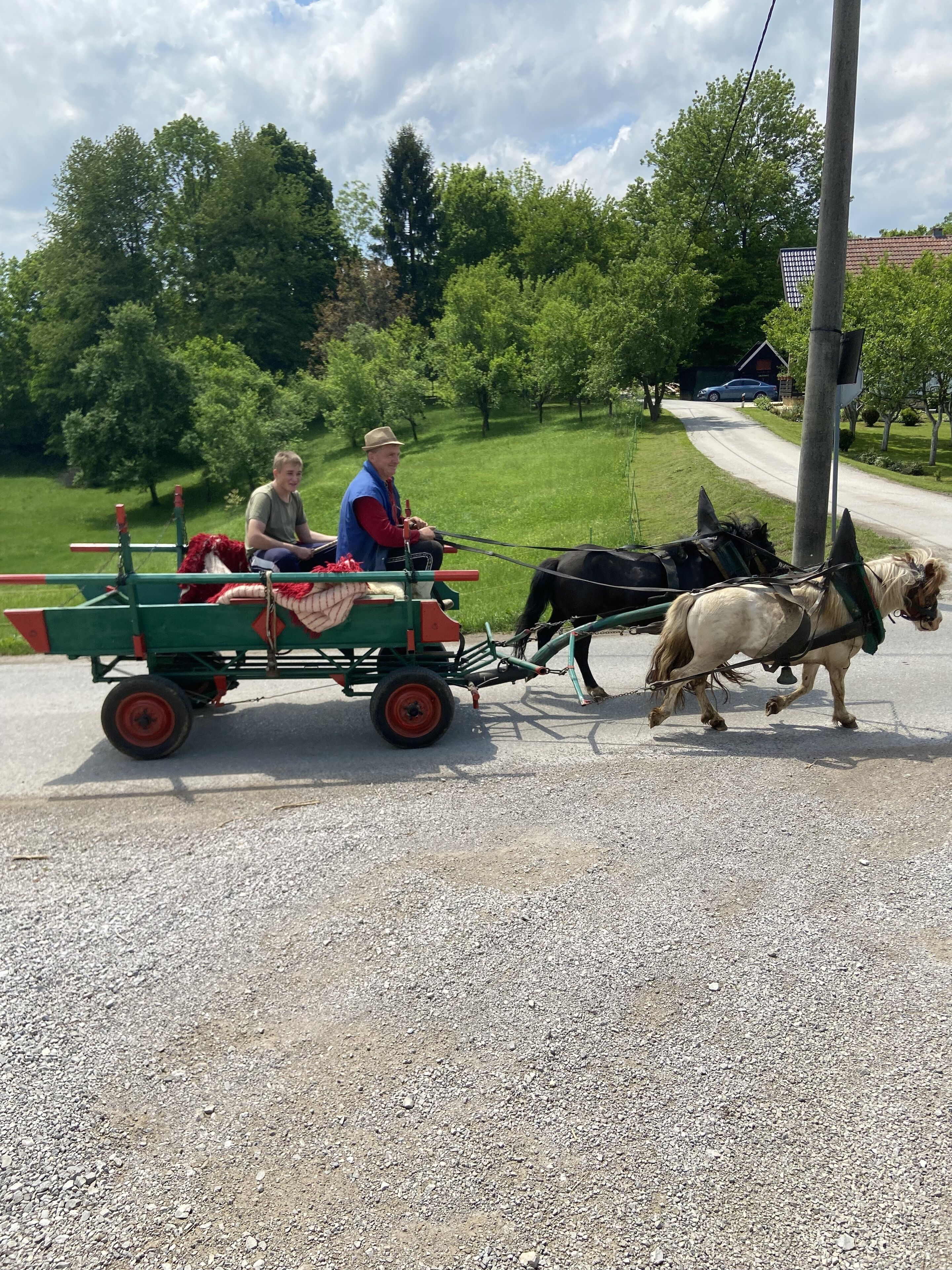 A green cart with two horses, pulled by a person, on a gravel road.