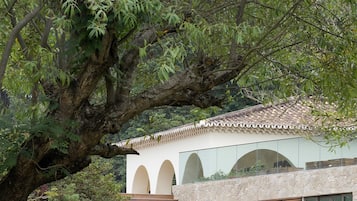 Vista desde la propiedad