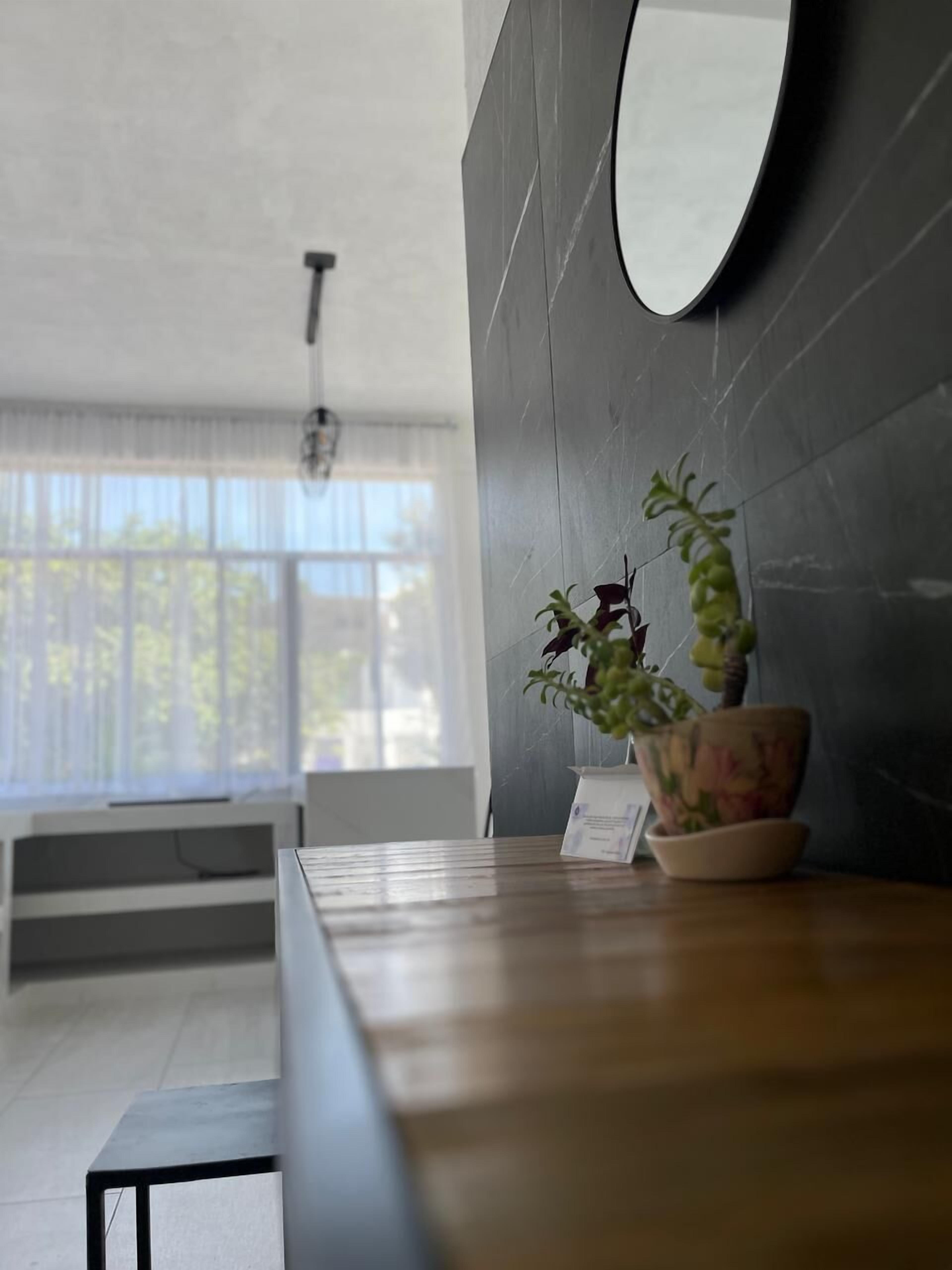 A modern interior with a wooden table, a potted plant, and a wall-mounted mirror.