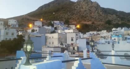 Riad Antek