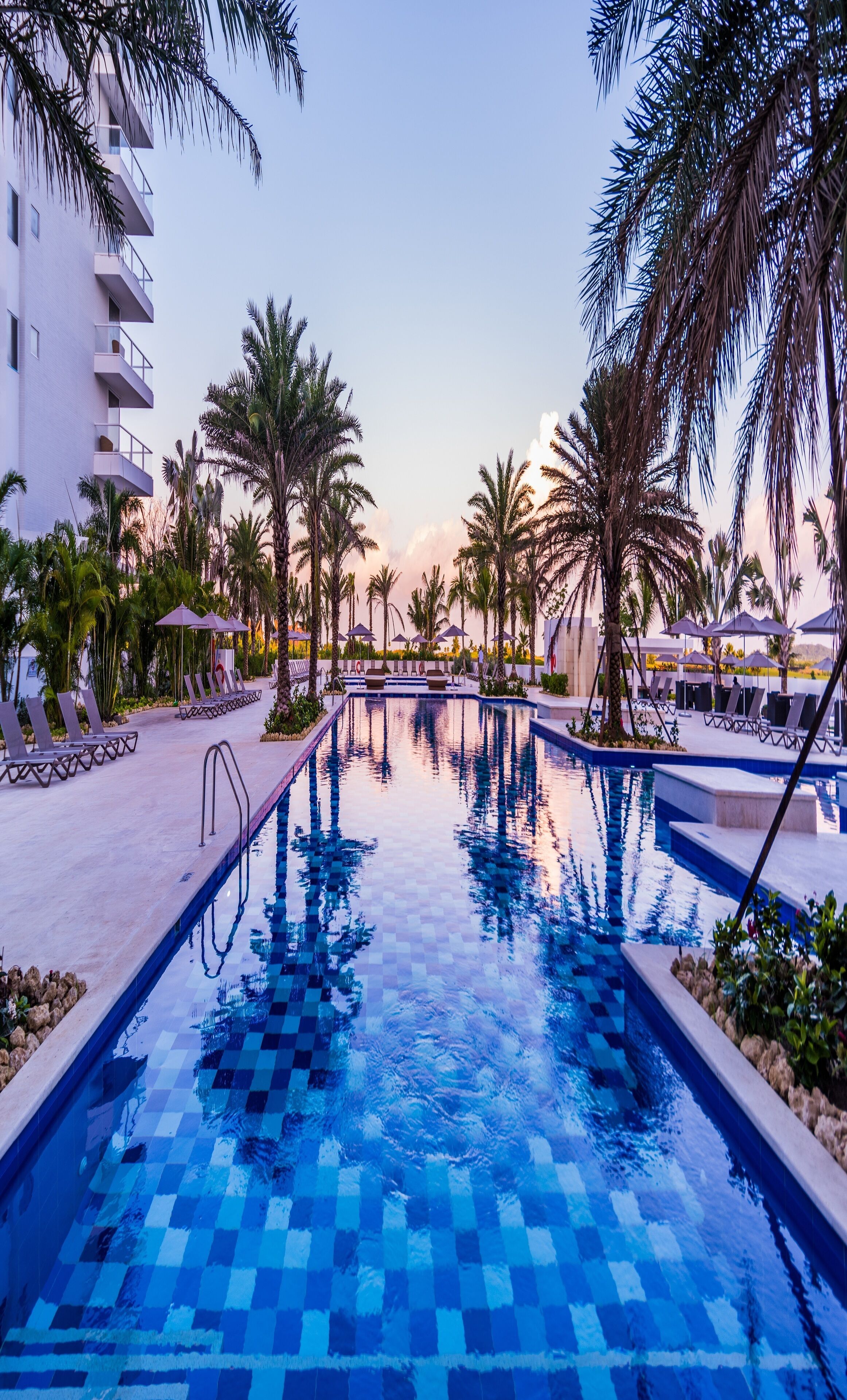 A swimming pool with a checkered pattern, surrounded by palm trees and lounge chairs, with a building in the background.
