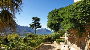 A lush garden with a variety of plants and a prominent tree in the center.