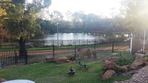 Un parc avec un étang, des canards et une clôture.