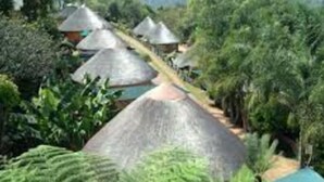 Une rangée de huttes aux toits de chaume, entourées d’une végétation luxuriante.
