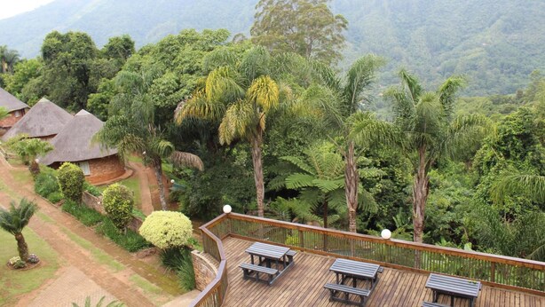 Une terrasse en bois, agrémentée de bancs, qui offre une vue sur un jardin luxuriant et un paysage montagneux.