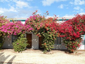 Property grounds - Obesa Lodge (Graaff-Reinet)
