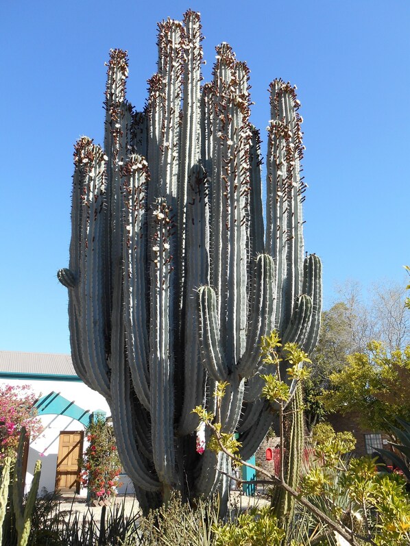 Exterior - Obesa Lodge (Graaff-Reinet)