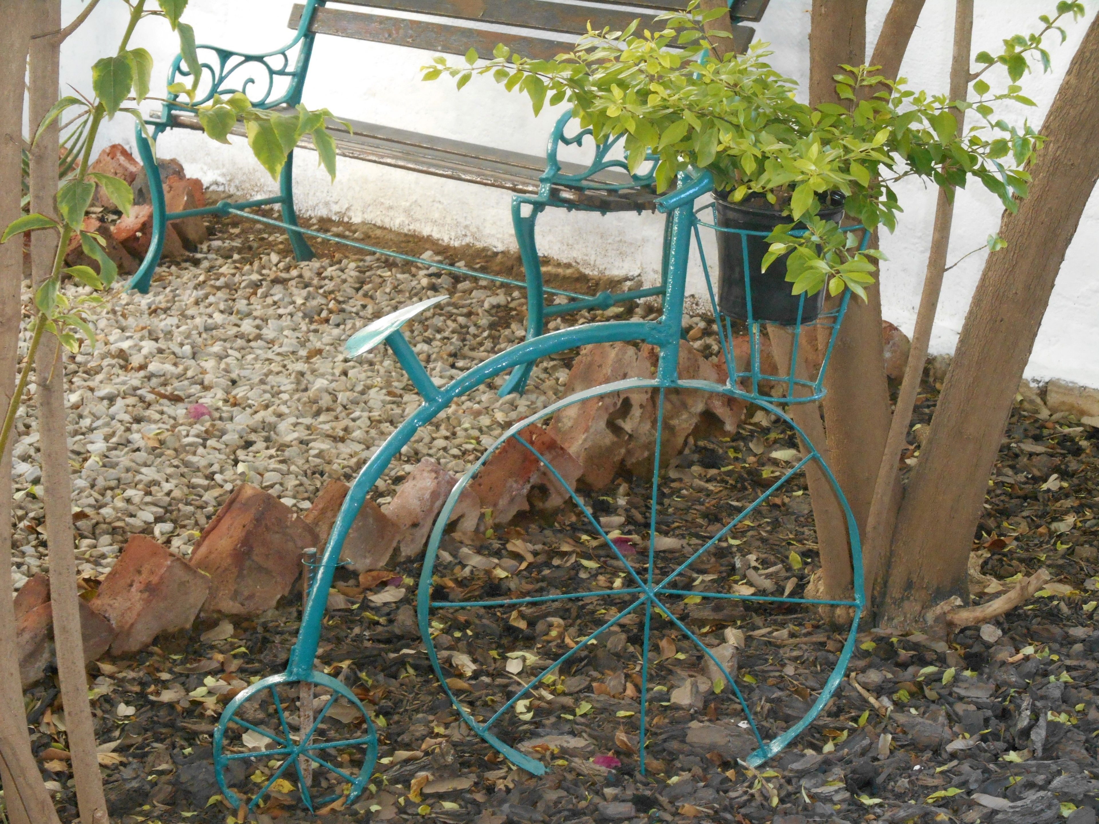 A bicycle planter with a plant, surrounded by gravel and rocks.